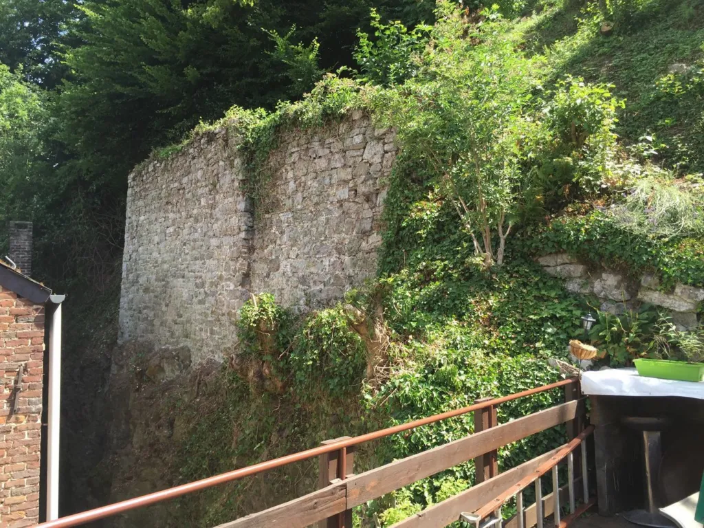 Le mur en pierre avant travaux, envahi de lierre et d'arbustes, au-dessus de la terrasse d'une maison à Dinant