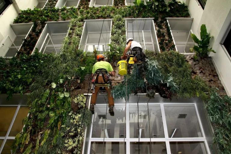 Deux cordistes suspendus devant un mur végétal intérieur, entre les baies d'un atrium