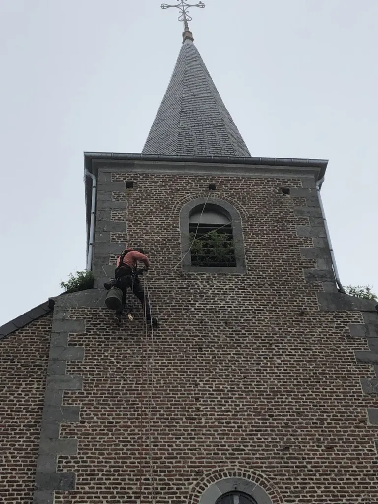 Un cordiste suspendu contre la tour en brique, près d'une baie du clocher envahie de végétation