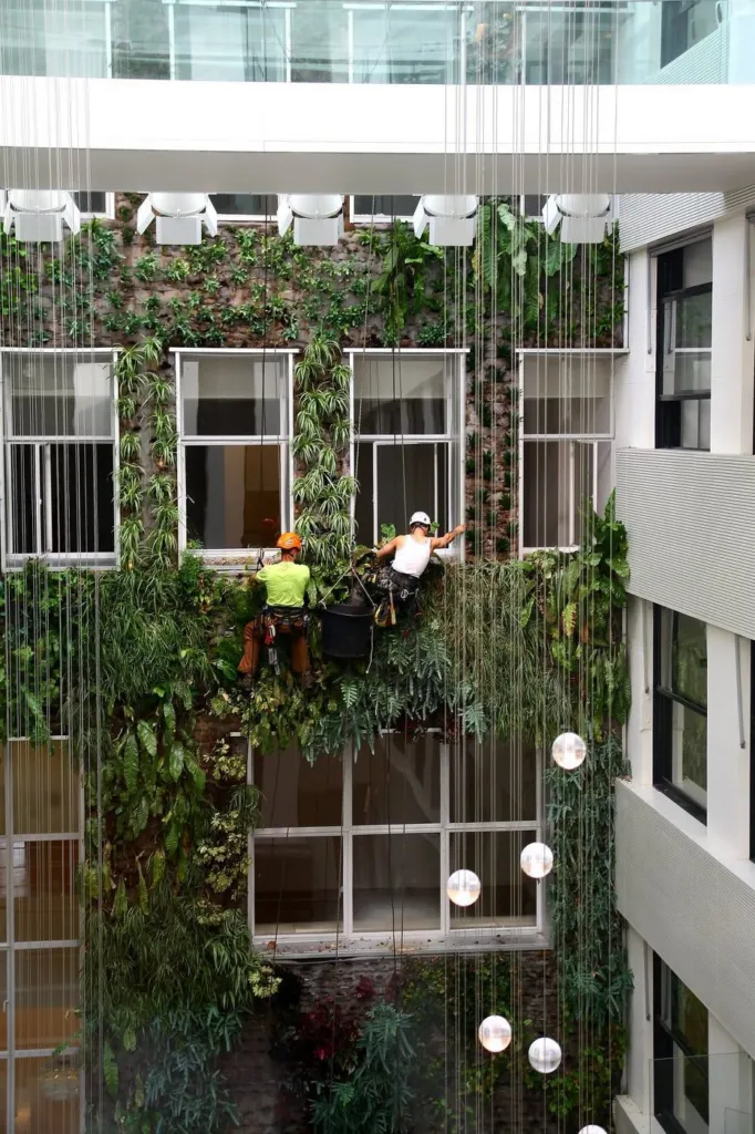 Le mur végétal sur toute la hauteur de l'atrium, luminaires et lignes d'irrigation