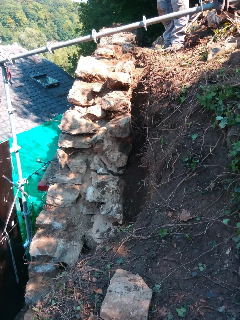 Mur en pierre dégagé de sa végétation, racines encore visibles dans la terre du talus