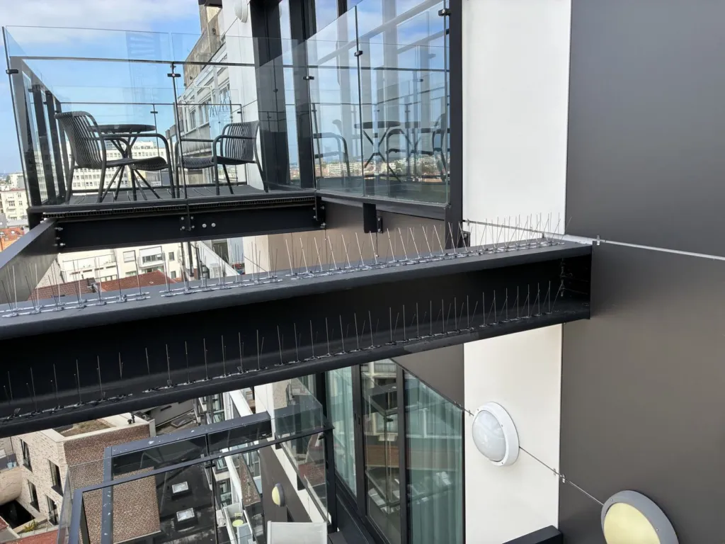 Les mêmes poutres équipées de rangées de pics anti-pigeons sur toute leur longueur, devant les balcons