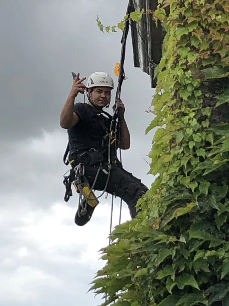 Cordiste en suspension le long de la façade