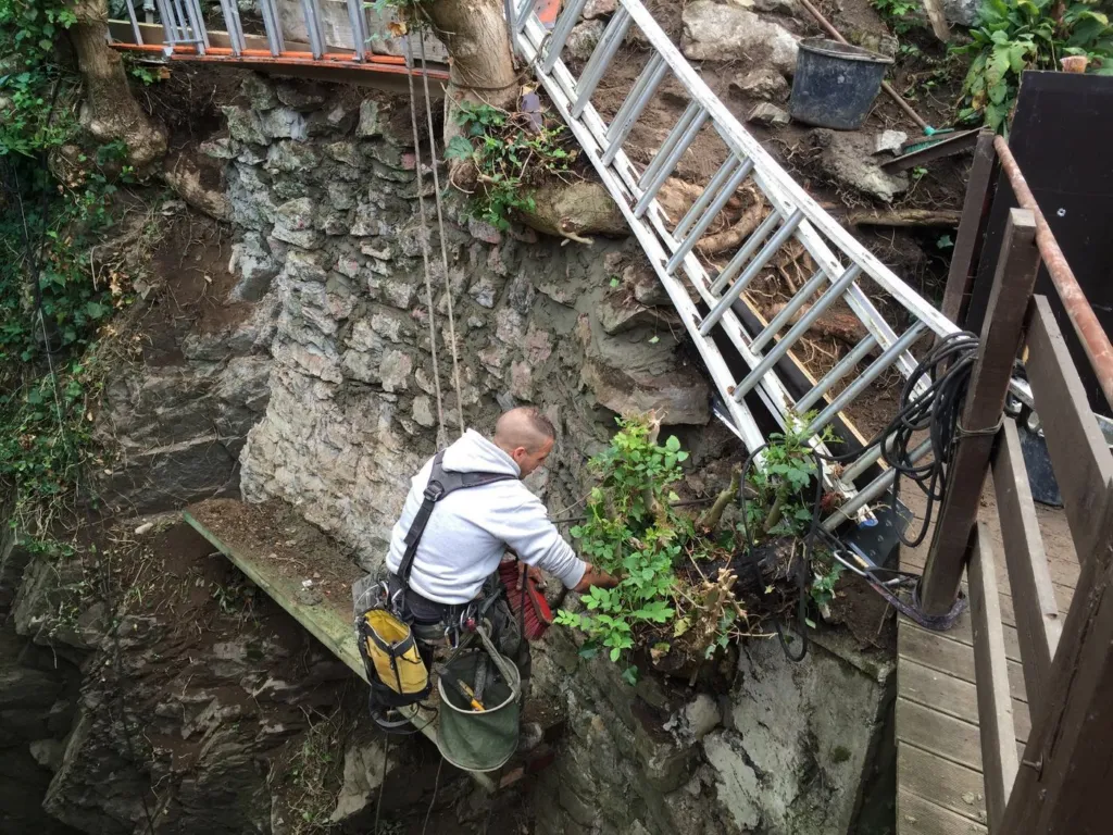 Cordiste dégageant la végétation d'un mur en pierre, sur corde, au-dessus d'une terrasse