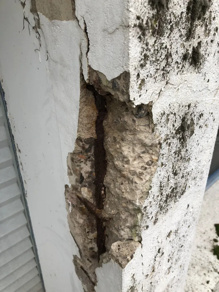 Détail des armatures exposées après purge