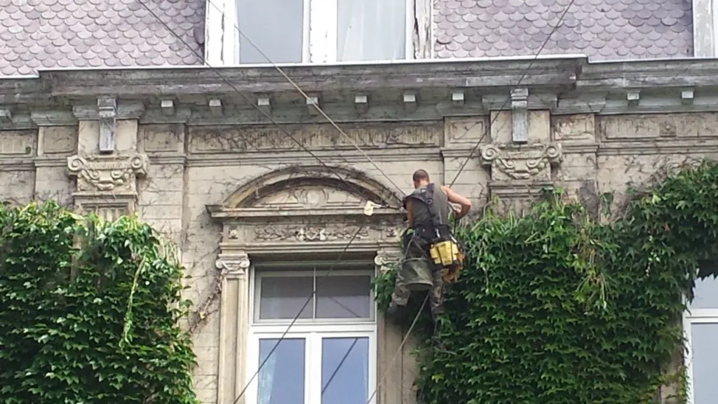 Cordiste au travail sur une façade en pierre sculptée, le lierre taillé autour de la fenêtre
